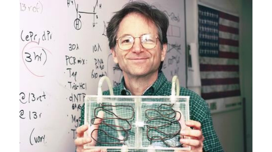 'Bilgisayar virüsü' ismini Prof. Dr. Led Adelman verdi.