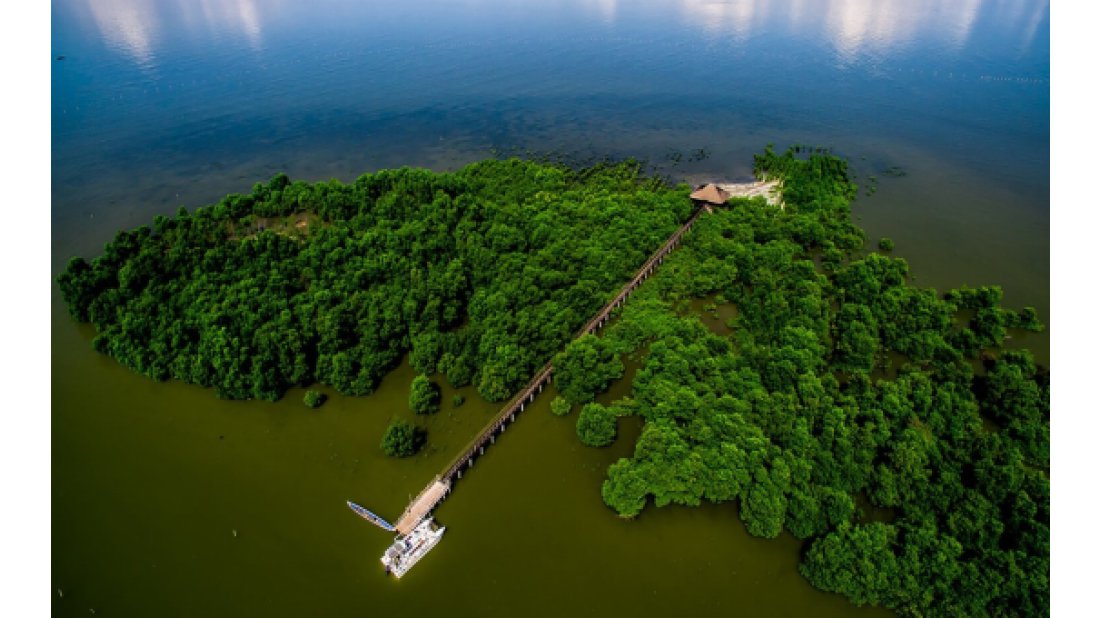 Ericsson, Dow Jones Sürdürülebilirlik Endeksine (DJSI) yeniden girdi