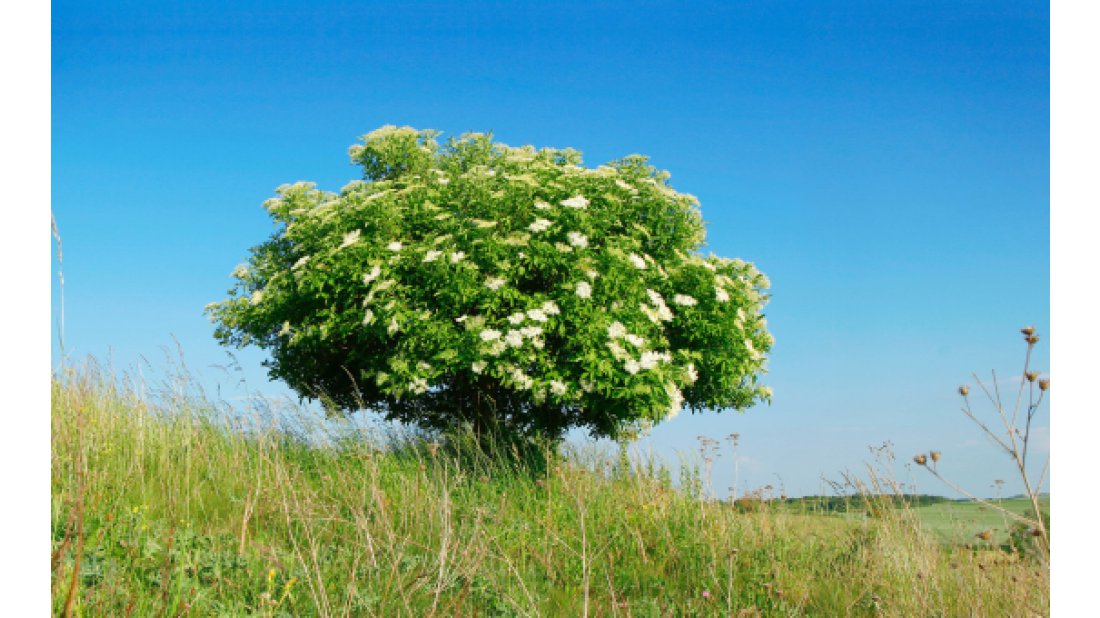 Enerji tasarrufu için elektrik sektörü işbirliği yapıyor