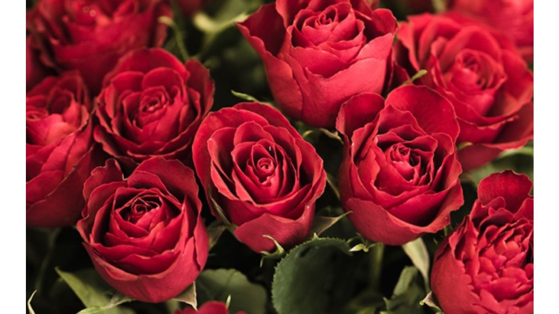 Sevgililer günü ne kadar popüler?