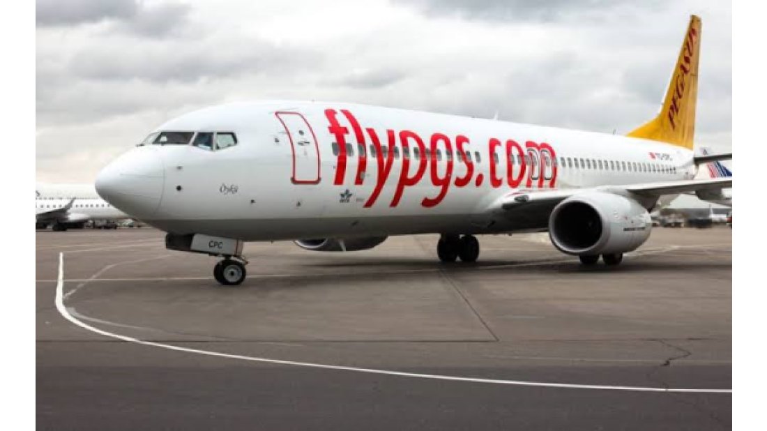 Pegasus’a siber saldırı düzenlendi