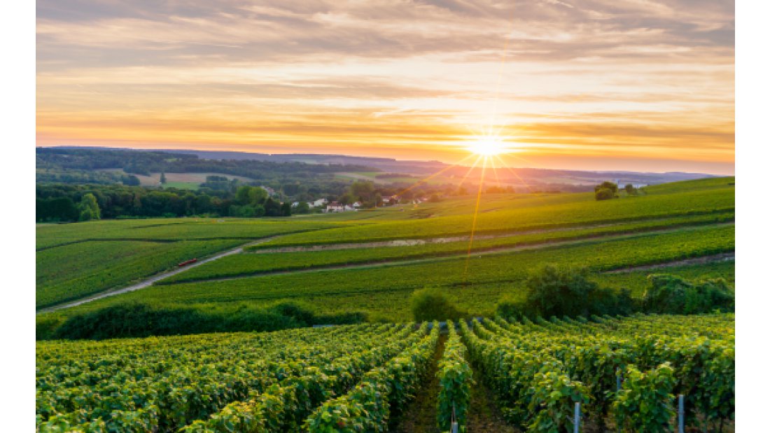Schneider Electric Türkiye, Dijital Arena – Tarım’da Dönüşüm etkinliğine premium sponsor olarak katıldı
