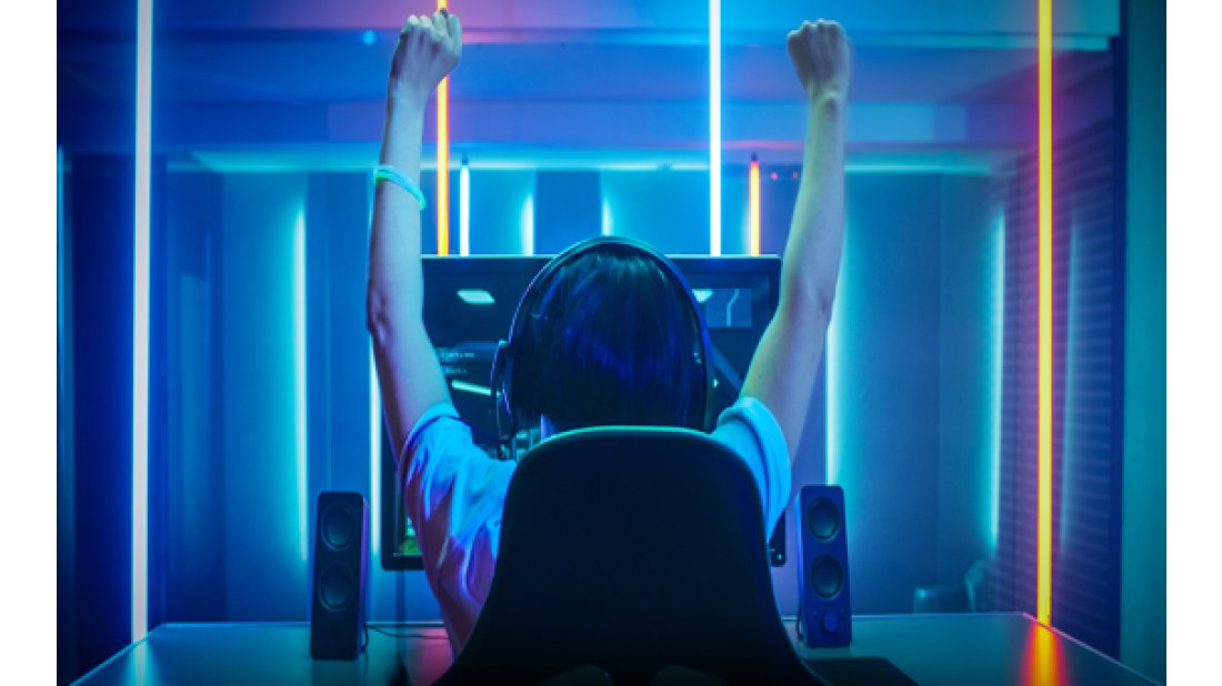 Oyuncu topluluğu Excalibur Clan'a göre oyunlarda sıklıkla karşılaşılan 5 oyuncu tipi