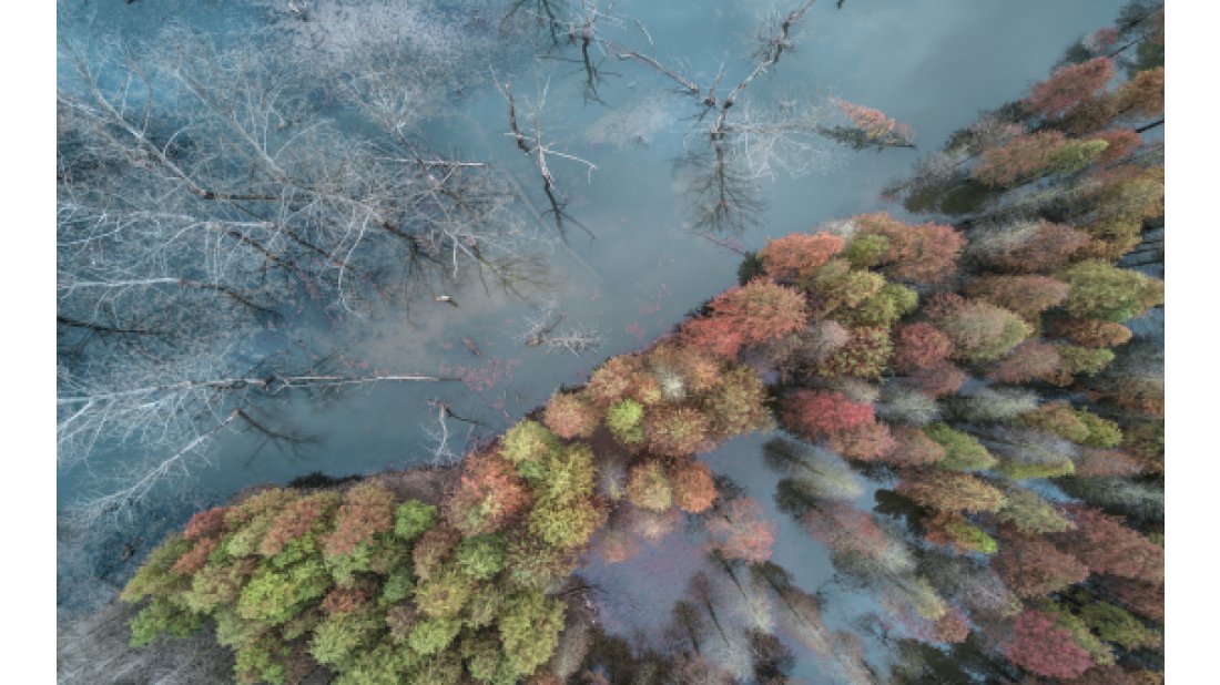 McKinsey'den, şehirlerin iklim değişikliğine uyum sağlayabilmesi için 15 eylem önerisi 