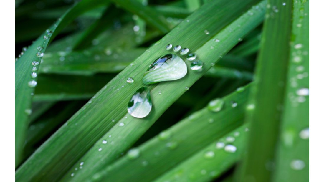 Karbon ayak izini azaltmayan şirketler büyük risklerle karşı karşıya