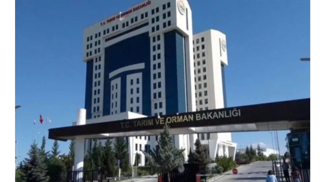 Tarım ve Orman Bakanlığı Bilgi Teknolojileri Genel Müdürlüğü’ne atama