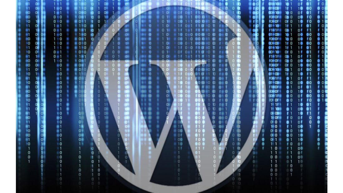Wordpress’te korkutan güvenlik açığı