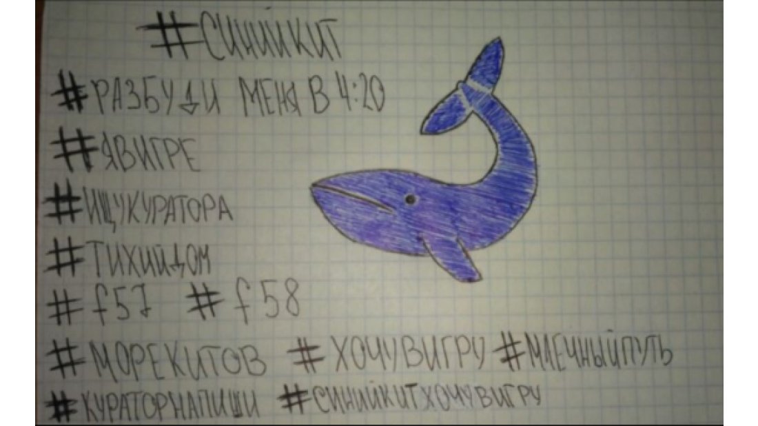 Ebeveynler çocuklarını mavi balina oyunundan nasıl koruyabilir?