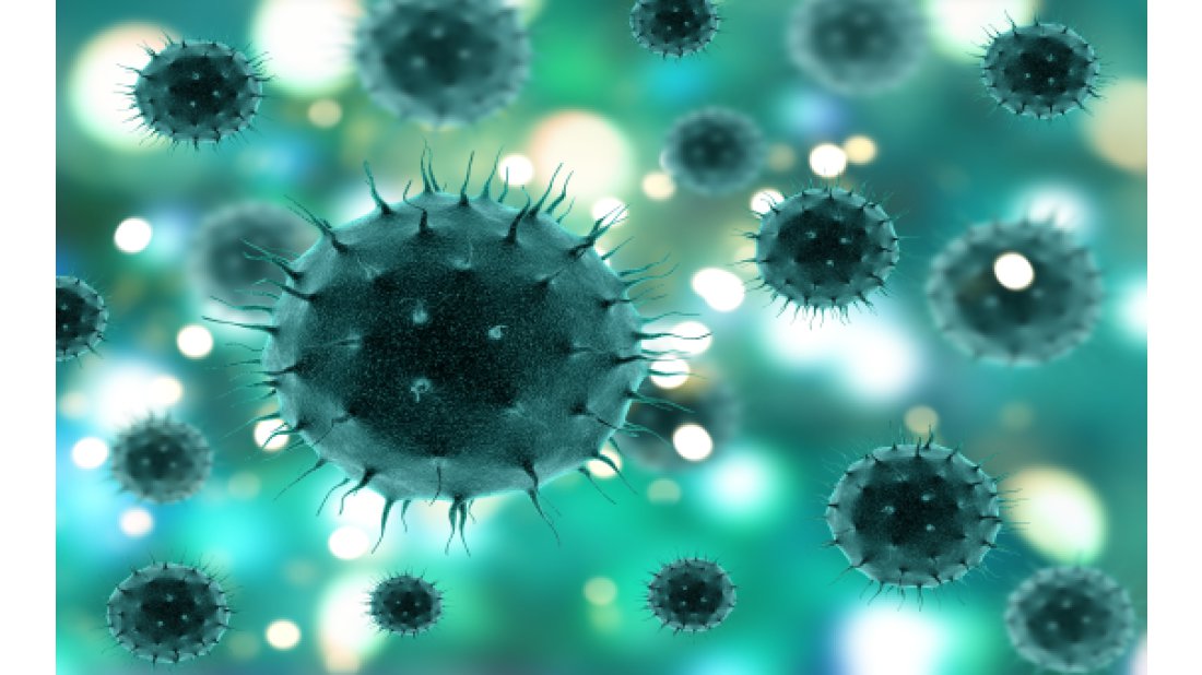 Koronavirüsünü bir tek siber suçlular sevdi