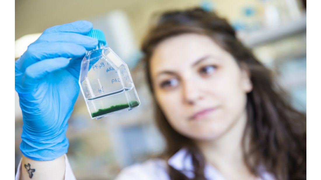 TÜBİTAK ve British Council’dan ikili iş birliği programına açık çağrı