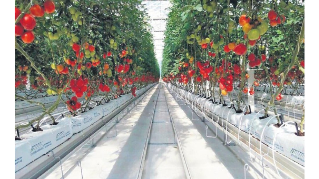 İş Dünyasının Önde Gelen İsimleri, “Tarladan Sofraya Dijitalleşme” Konulu Dijital Etkinlikte Buluştu!