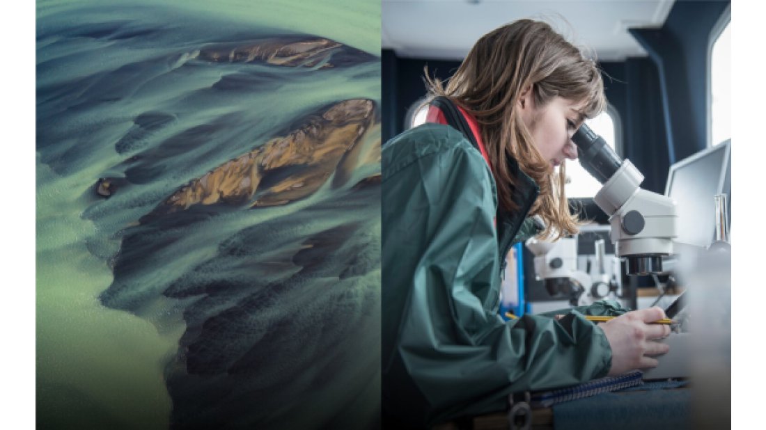 Ericsson İnovasyon Ödülleri 2020: İklim değişikliğinin üstesinden gelmek