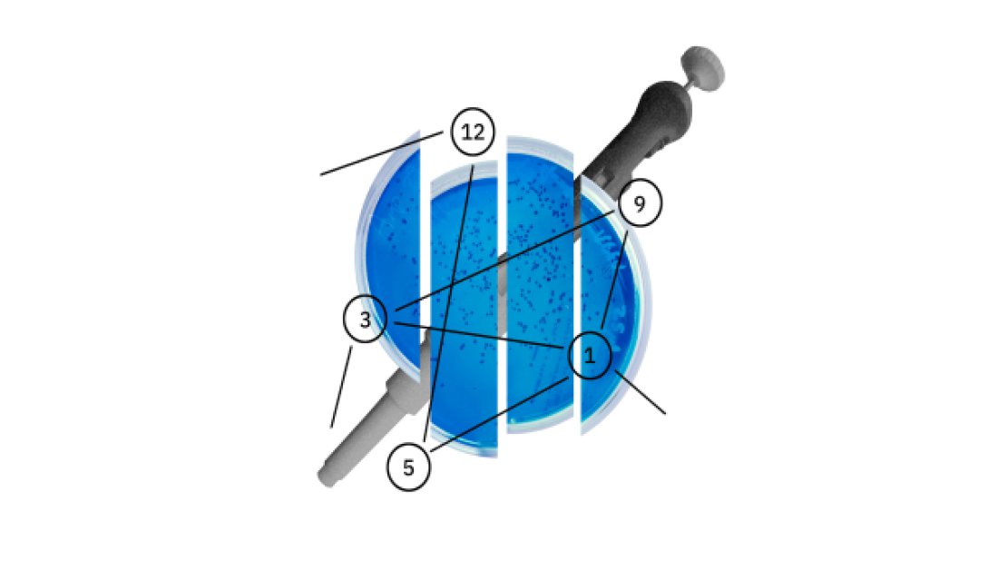 IBM Research, 5 yılda 5 önemli alandaki keşiflerini hızlandıracak