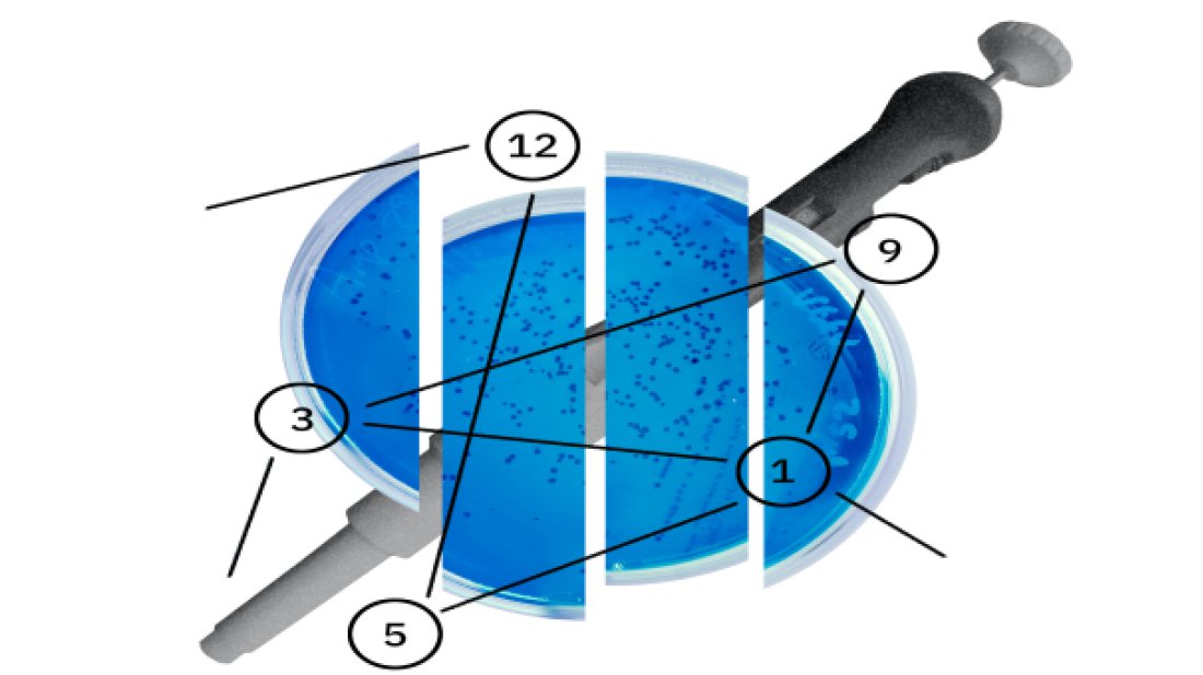 IBM Research, 5 Yılda 5 Önemli Alandaki Keşiflerini Hızlandıracak