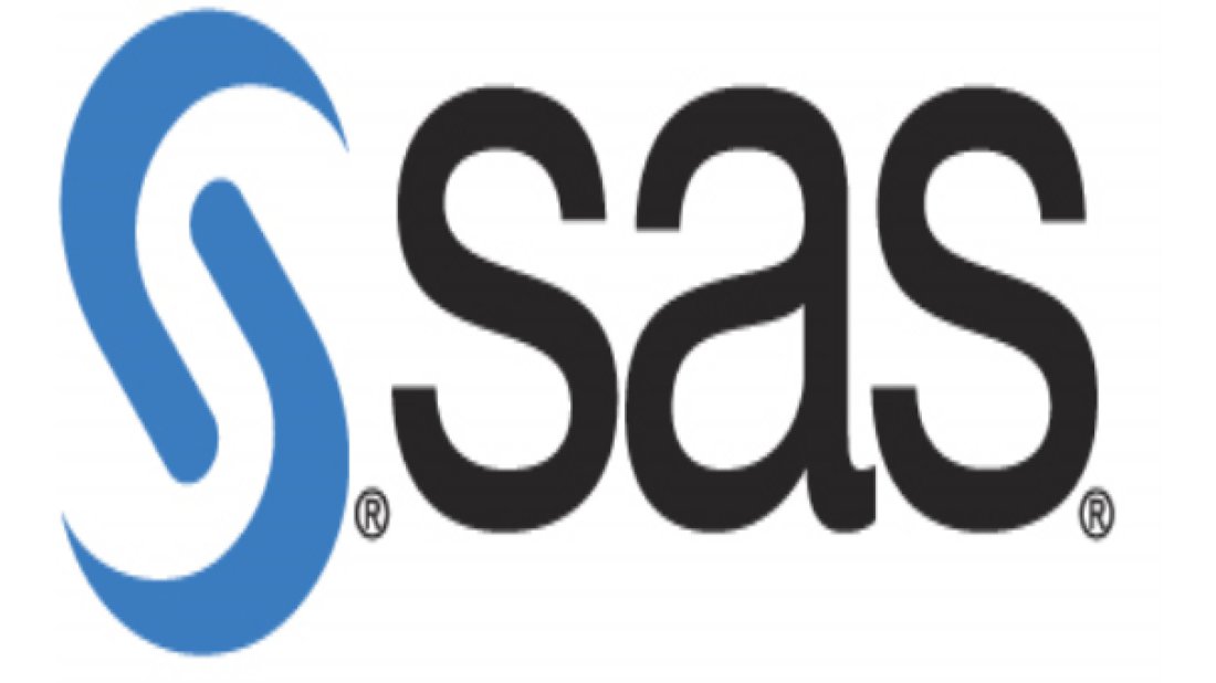 SAS Net Sıfır Karbon Emisyonunu Hedefliyor