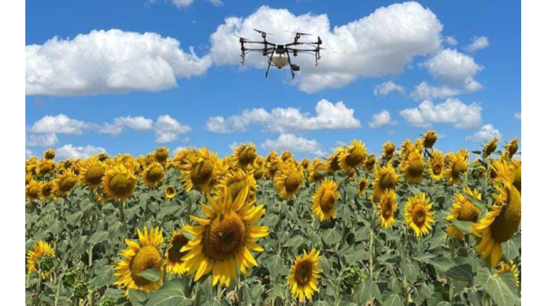 Çayır tırtılına drone müdahalesi