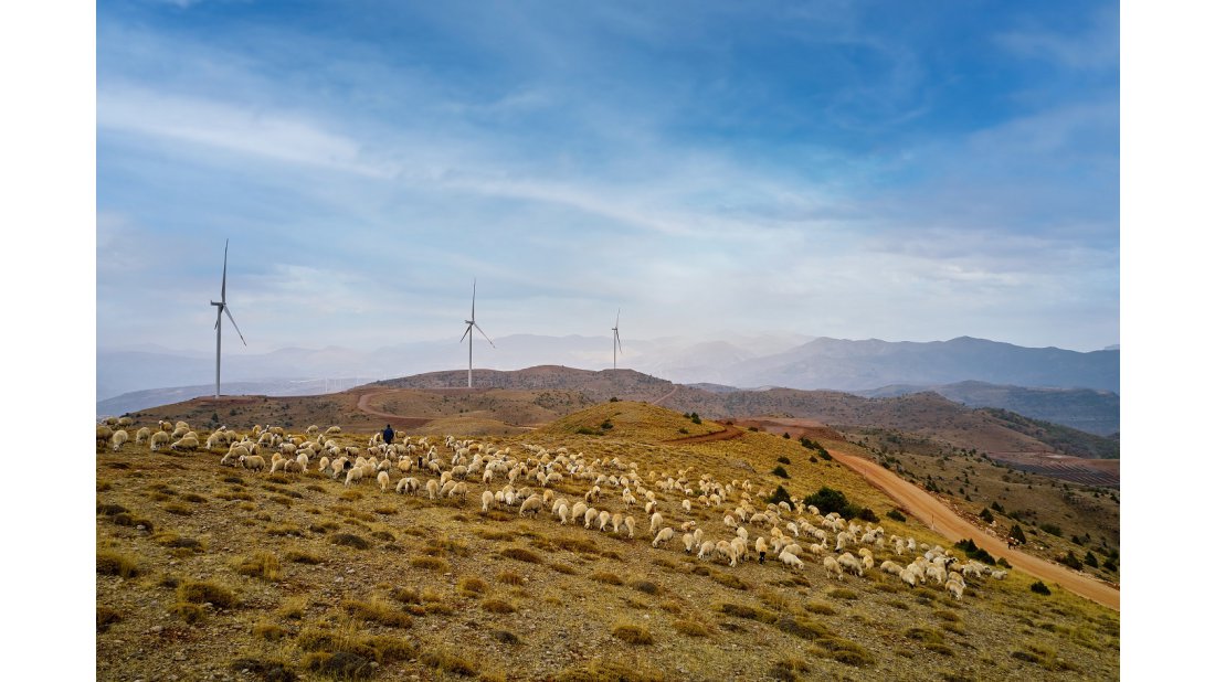 Enerjisa Üretim yenilenebilir enerjide yatırım atağına devam ediyor
